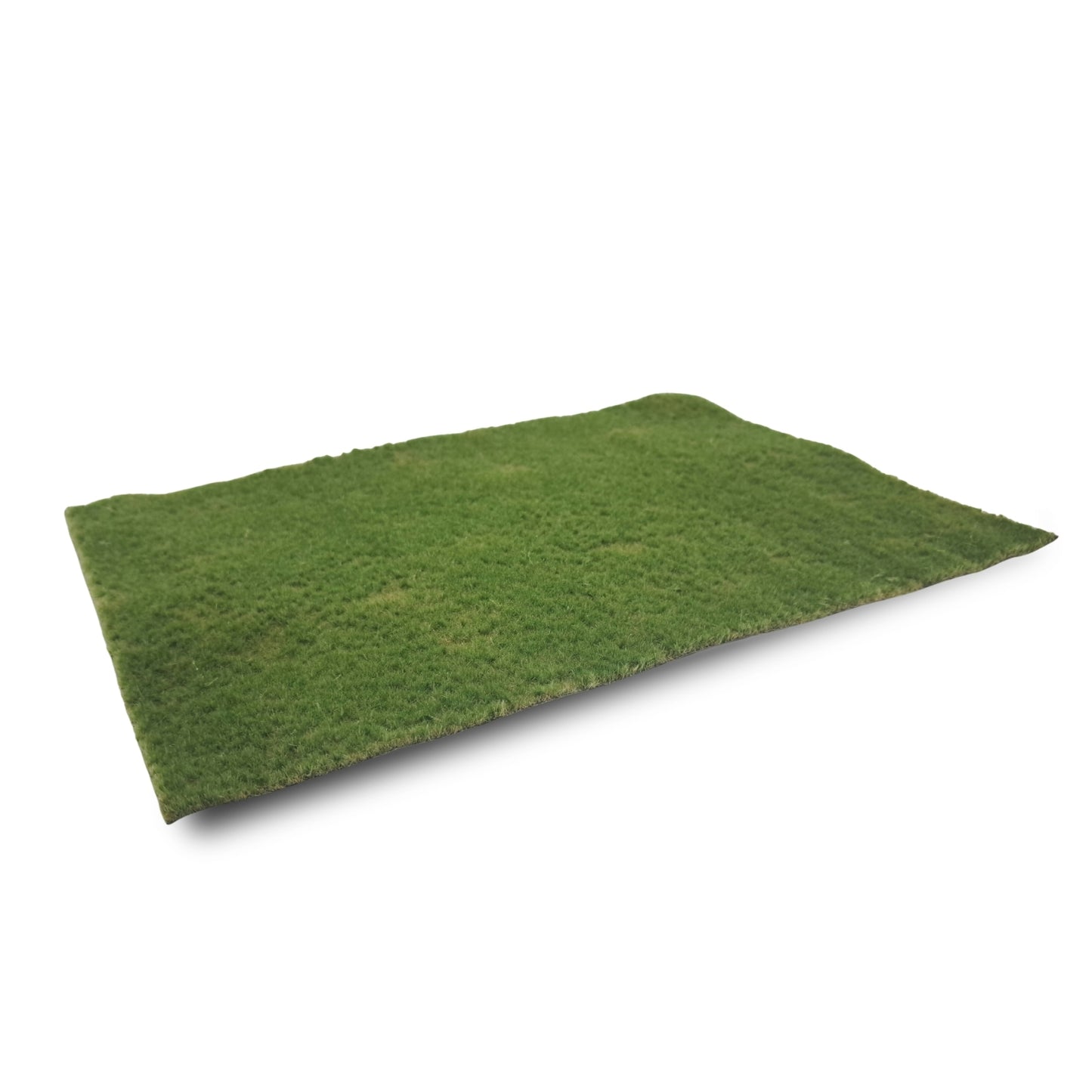 Wiese Sommer, kurz