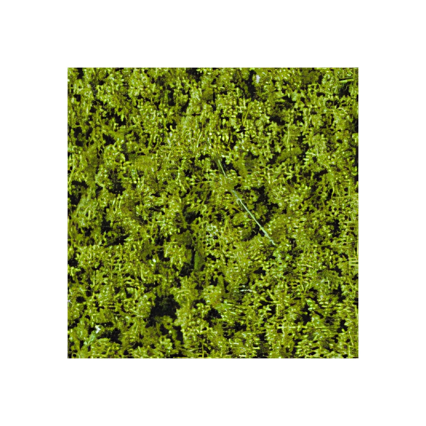 Heki Flor lichtgroen