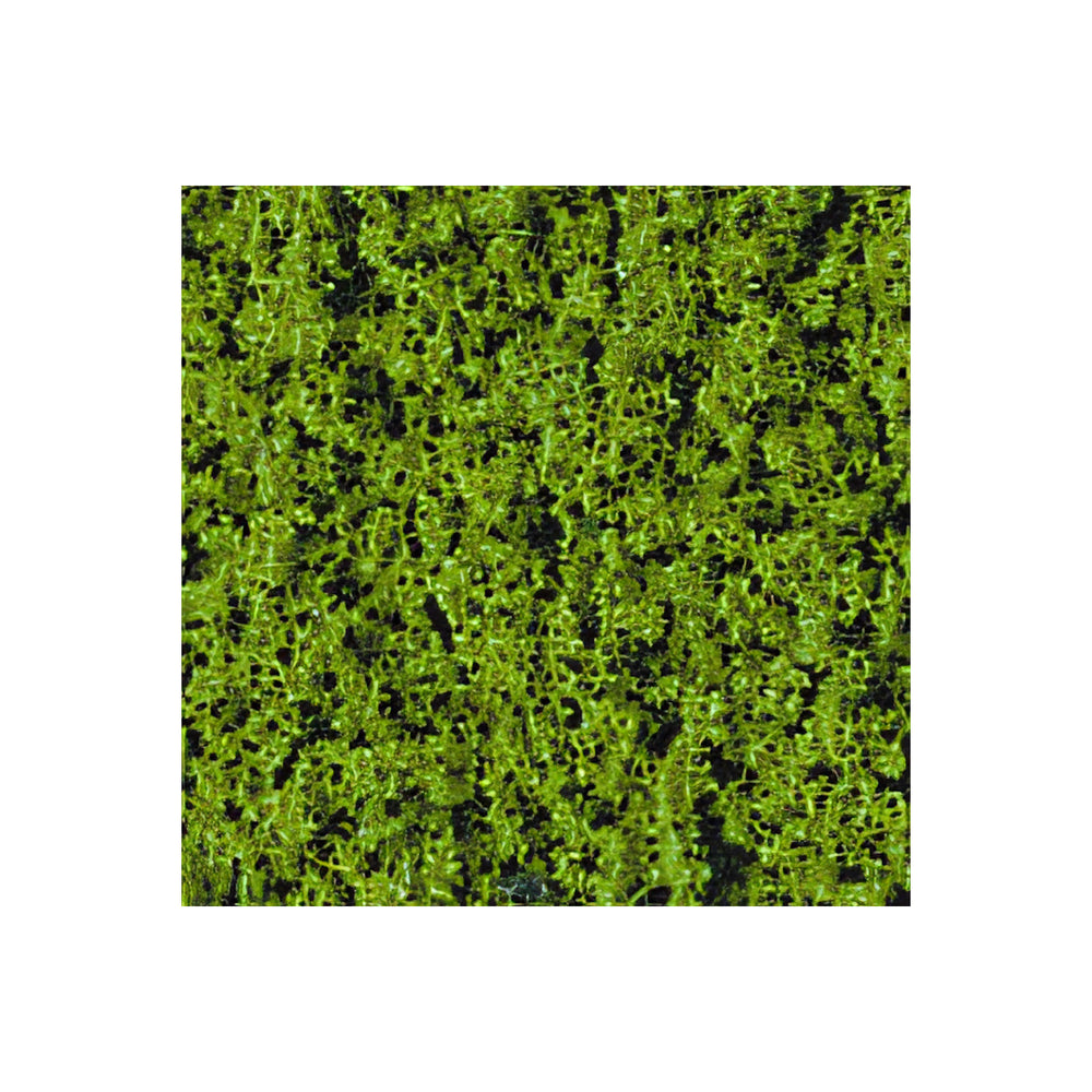 Heki Flor meigroen