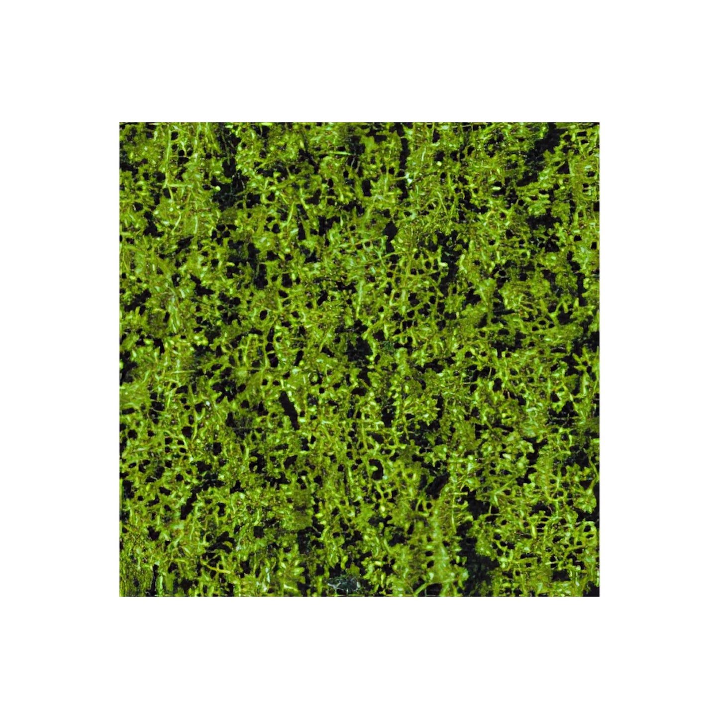 Heki Flor meigroen