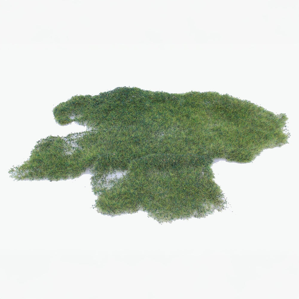 Wild grass marsh soil