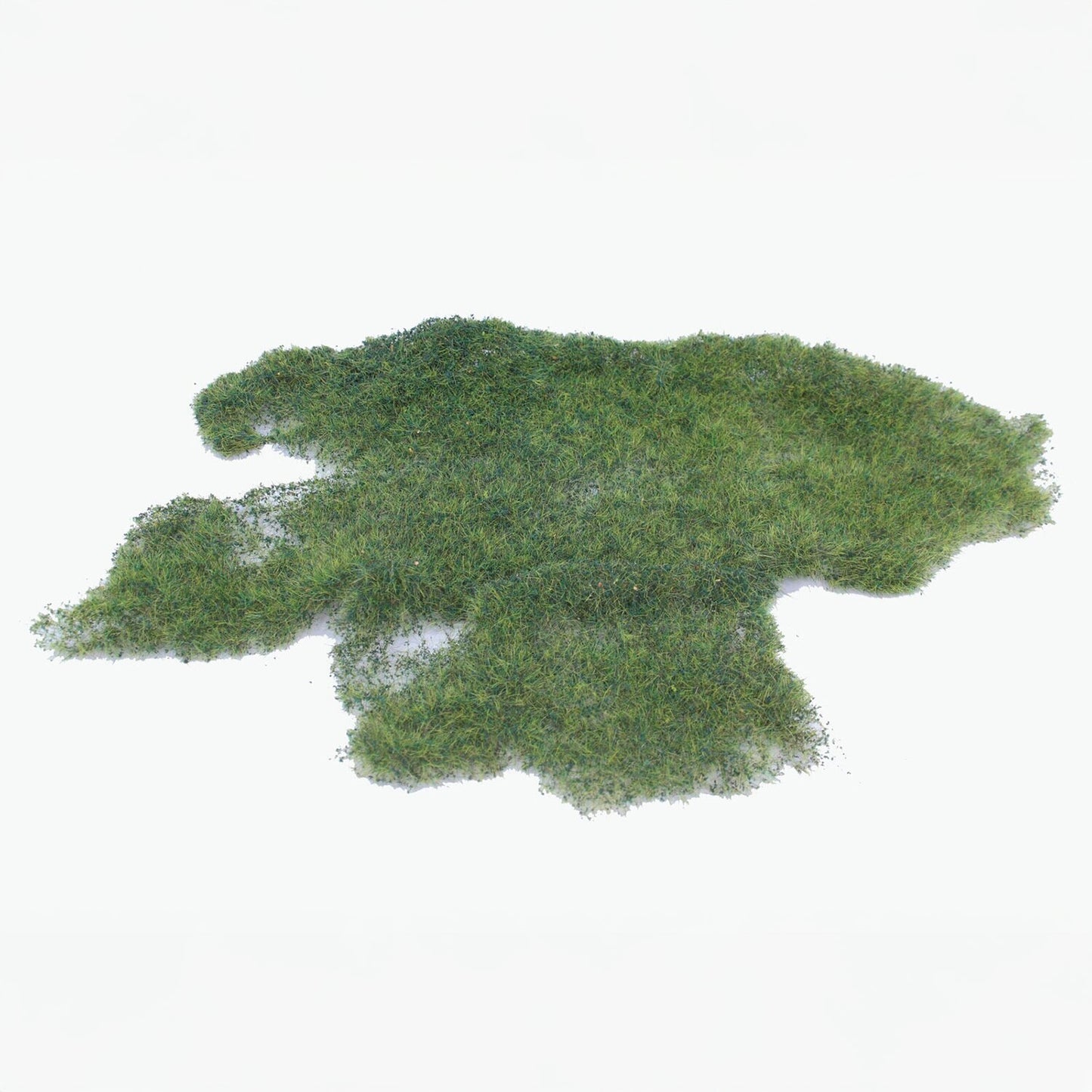 Wild grass marsh soil