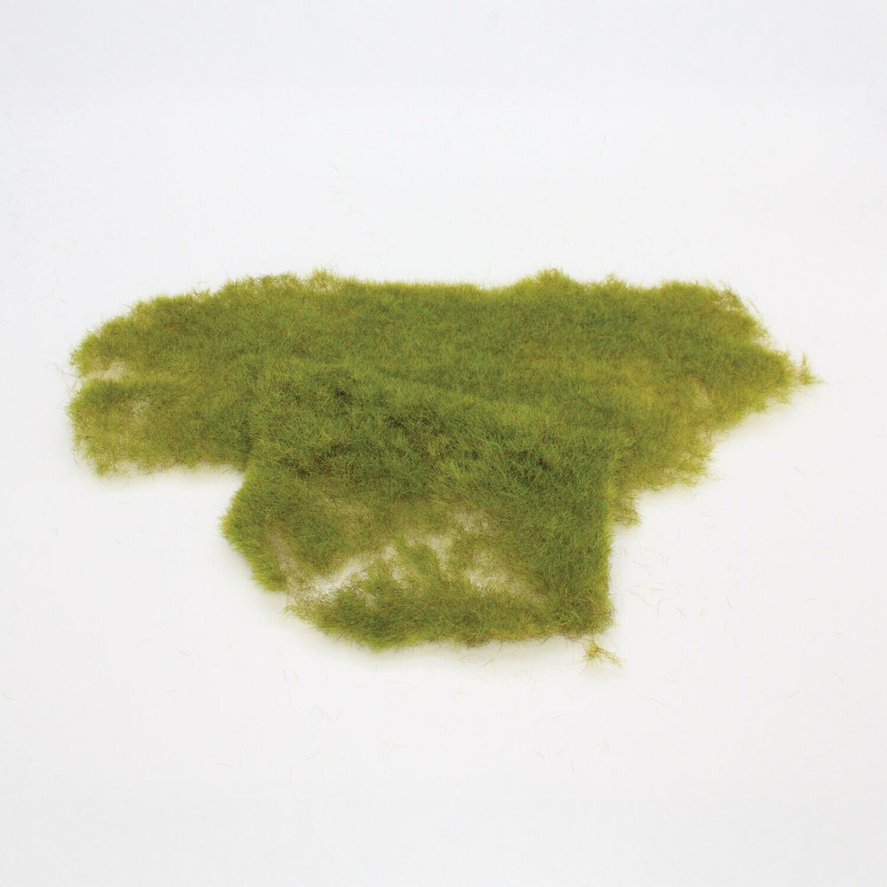 Wild grass meadow green