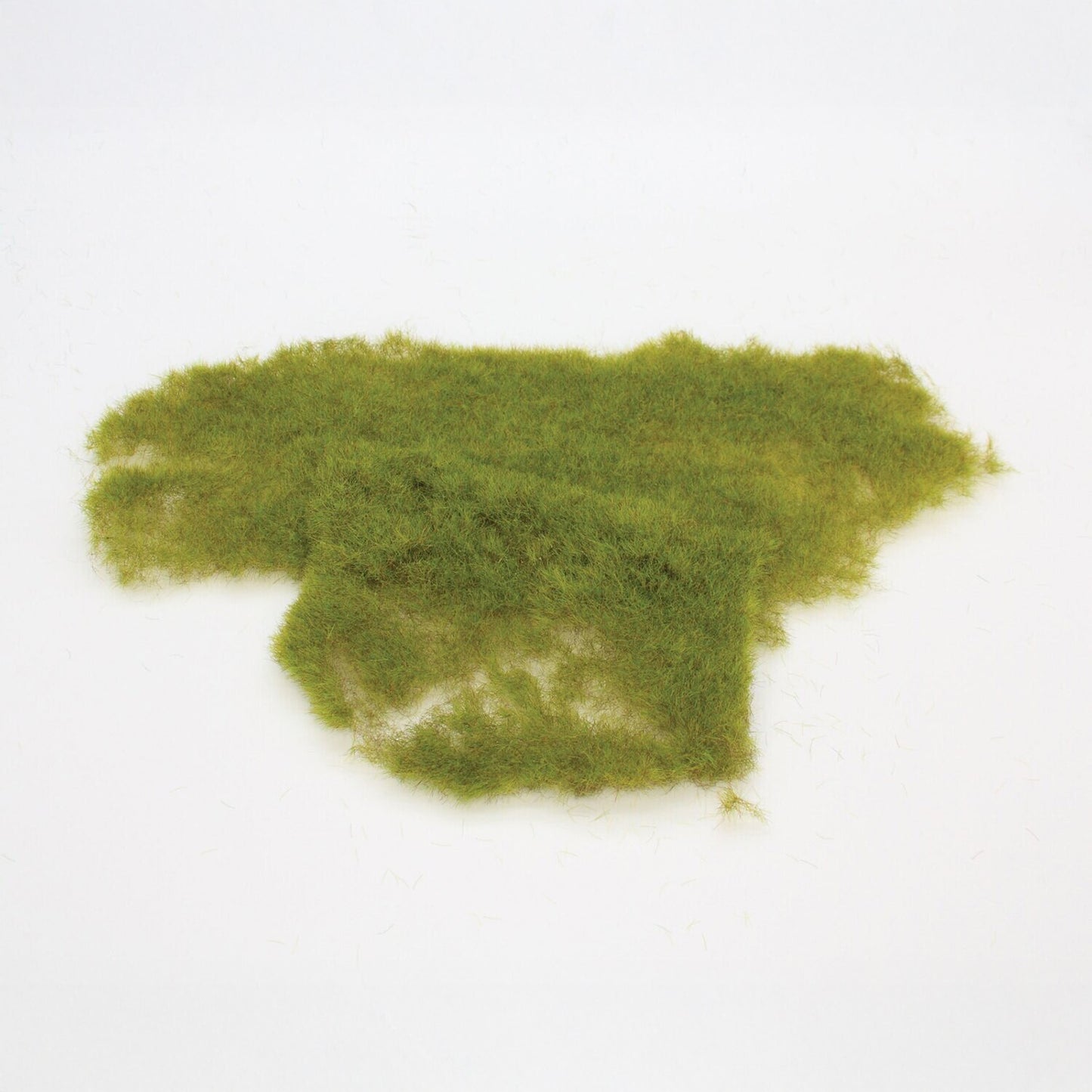 Wild grass meadow green