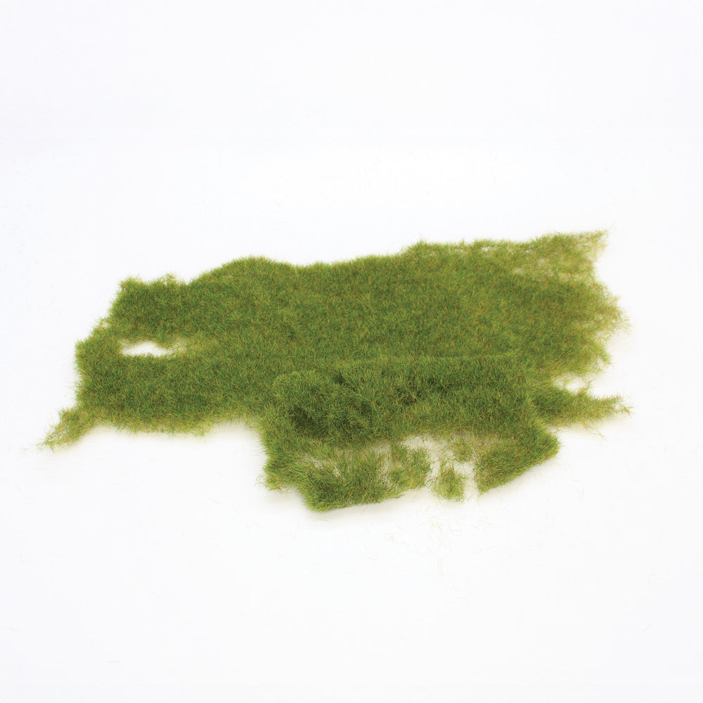 Wild grass forest floor