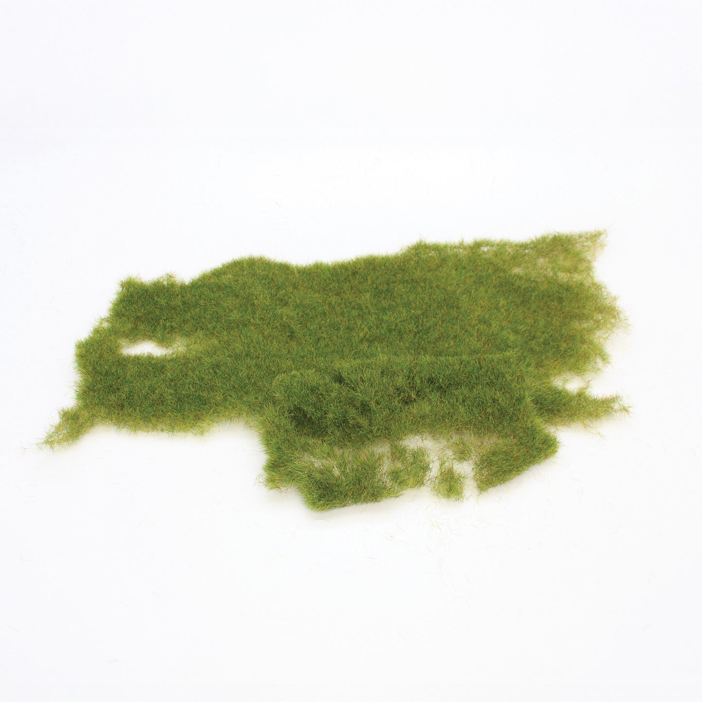 Wild grass forest floor