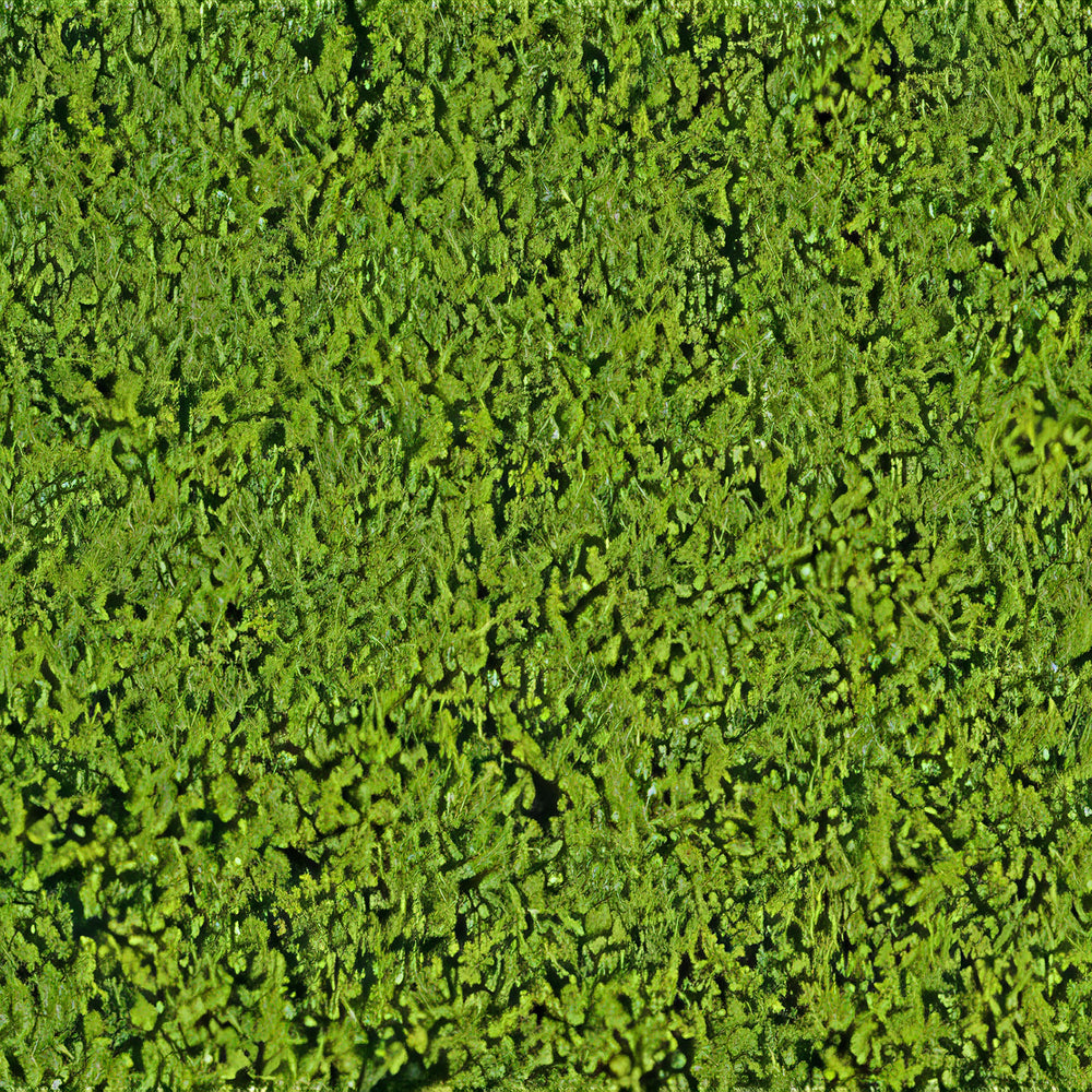 Heki Mikroflor lichtgroen