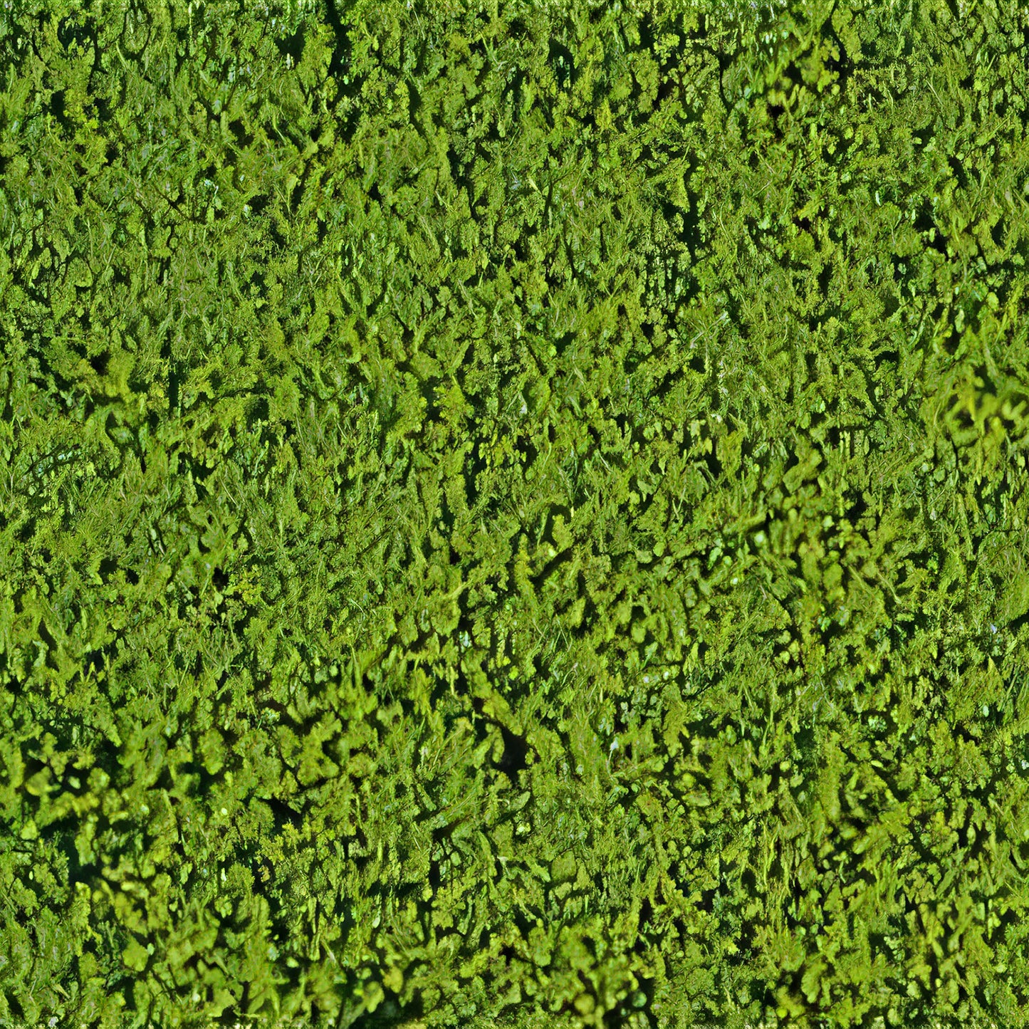 Heki Mikroflor lichtgroen