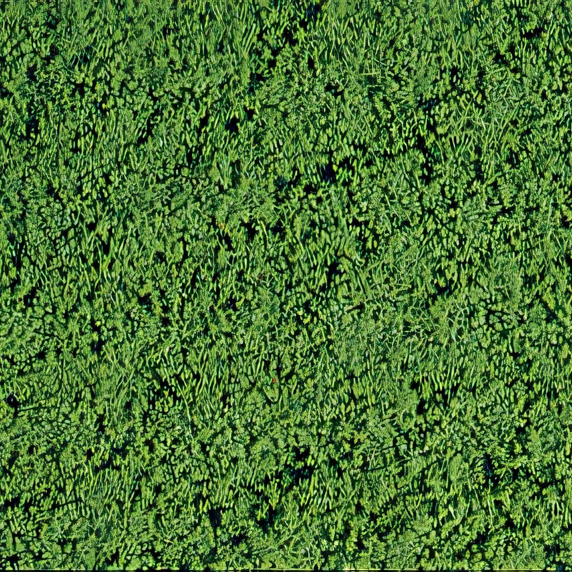 Heki Mikroflor middengroen