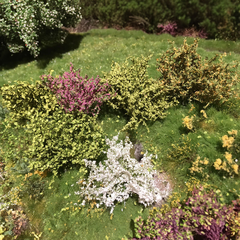 Shrubs flowering in 3 colours - large set