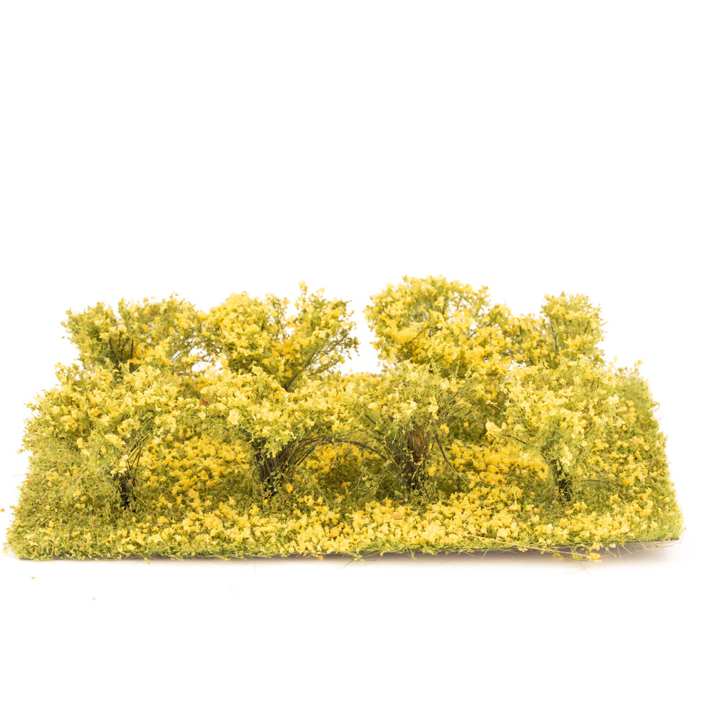 Small shrubs Profiline - yellow flowering