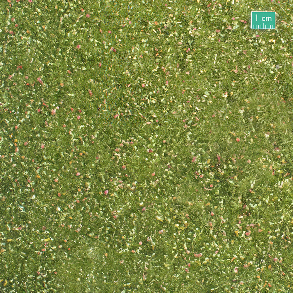 Meadow with weeds - early autumn