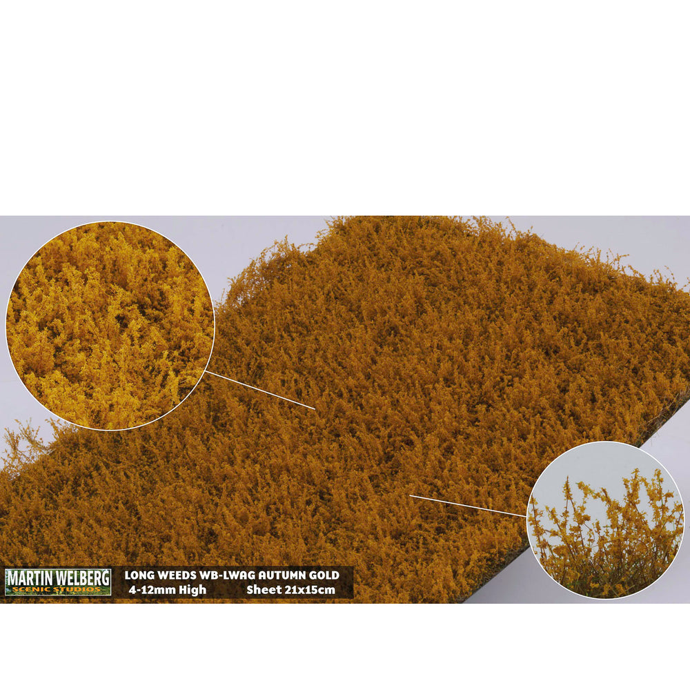 Onkruid hoog gouden herfst