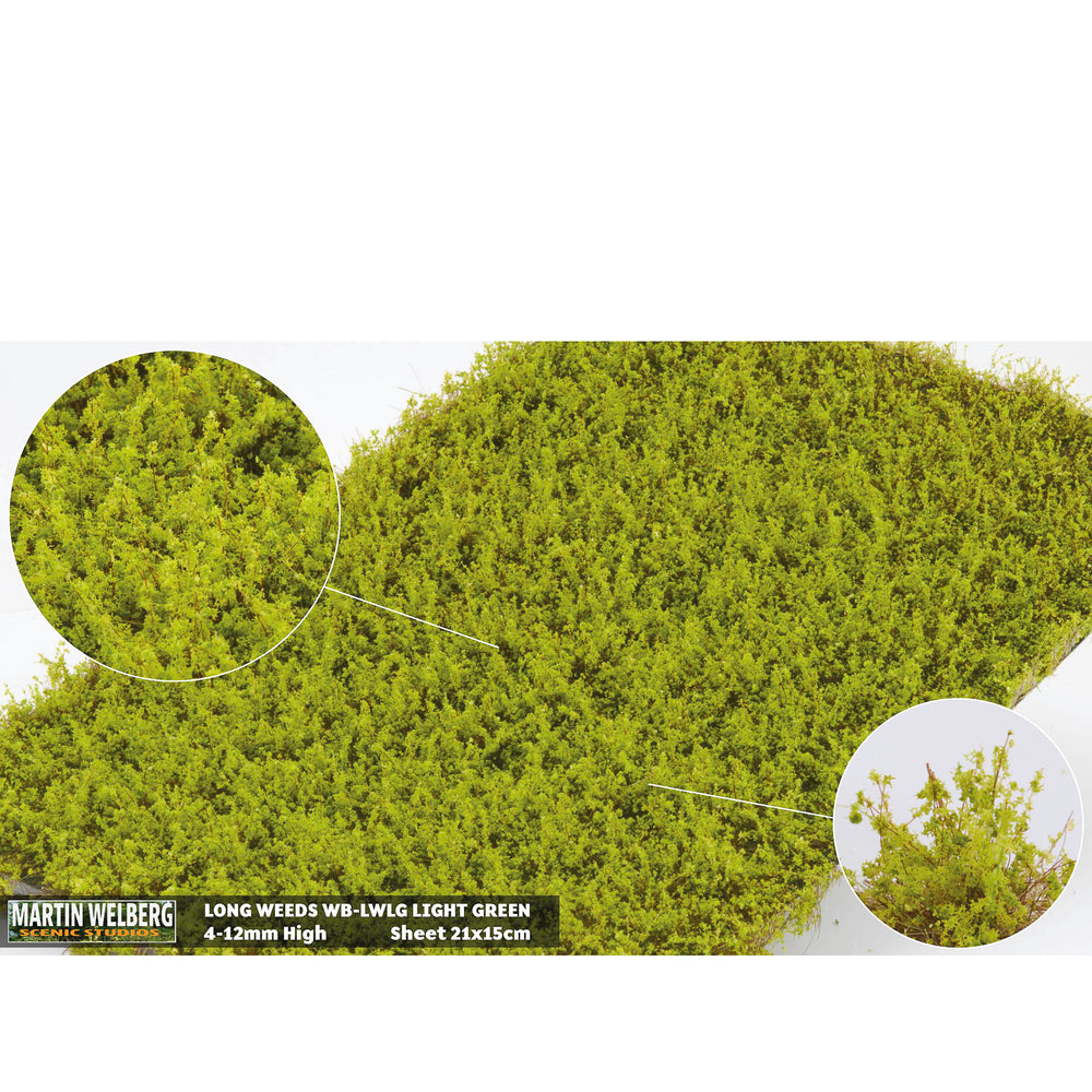 Onkruid hoog licht groen