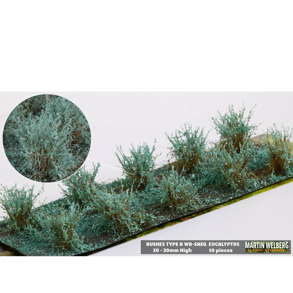 Struiken type A eucalyptus groen