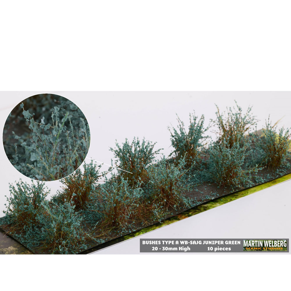 Struiken type A juniper groen