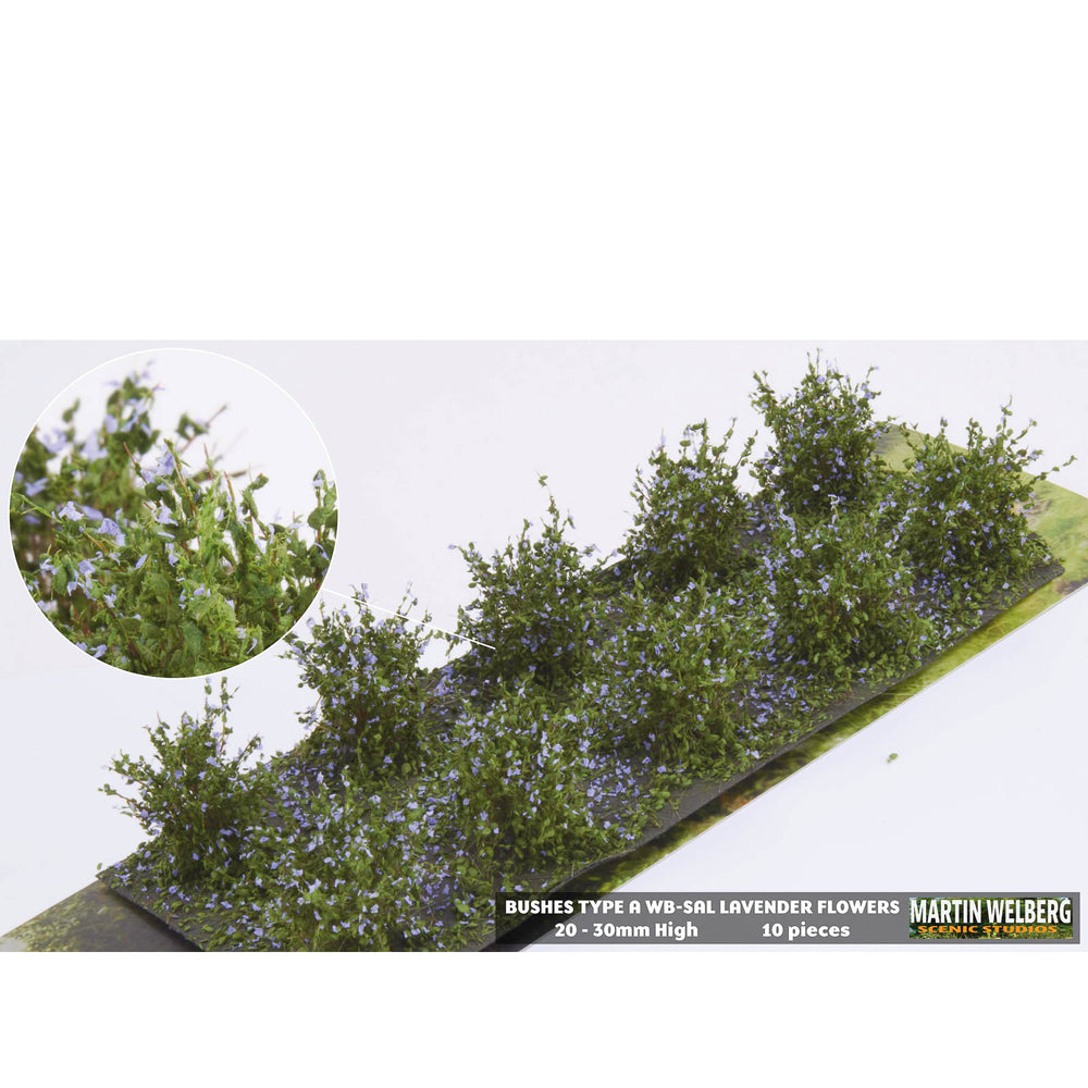 Struiken type A lavendel