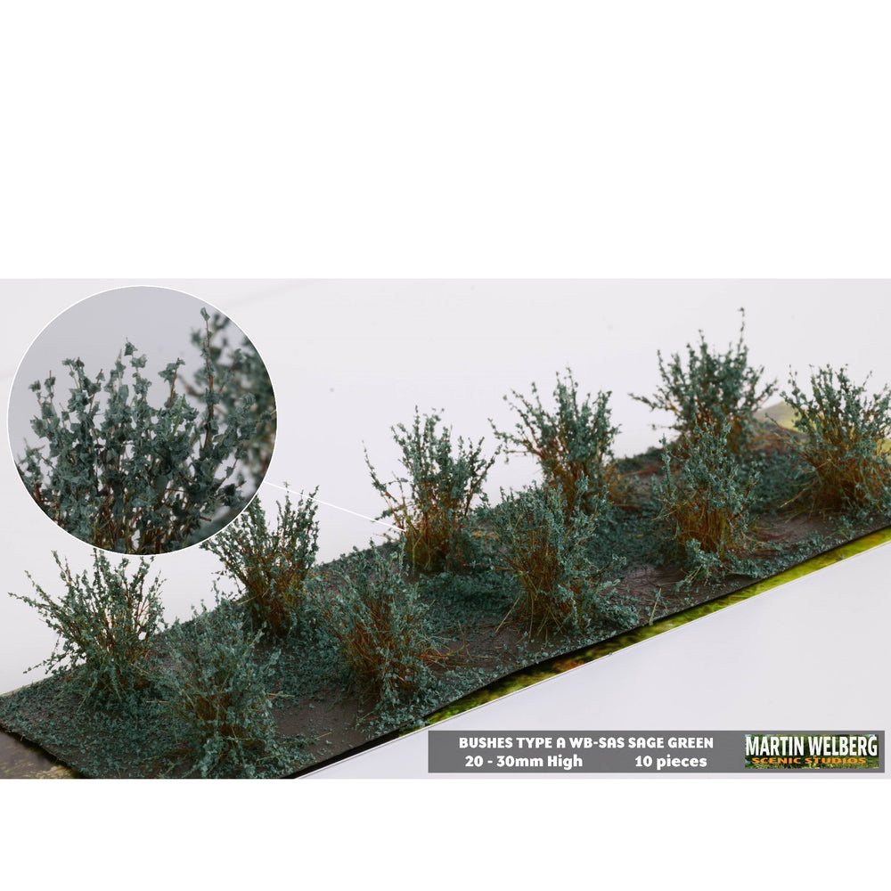 Struiken type A sage groen