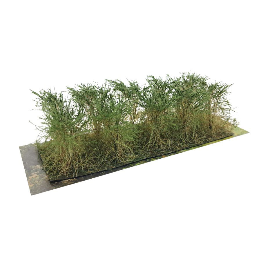 Bushes type B pine green