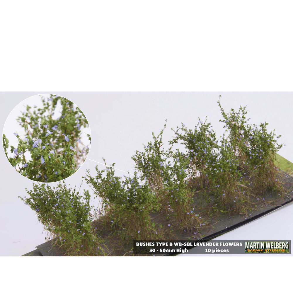 Bushes type B lavender