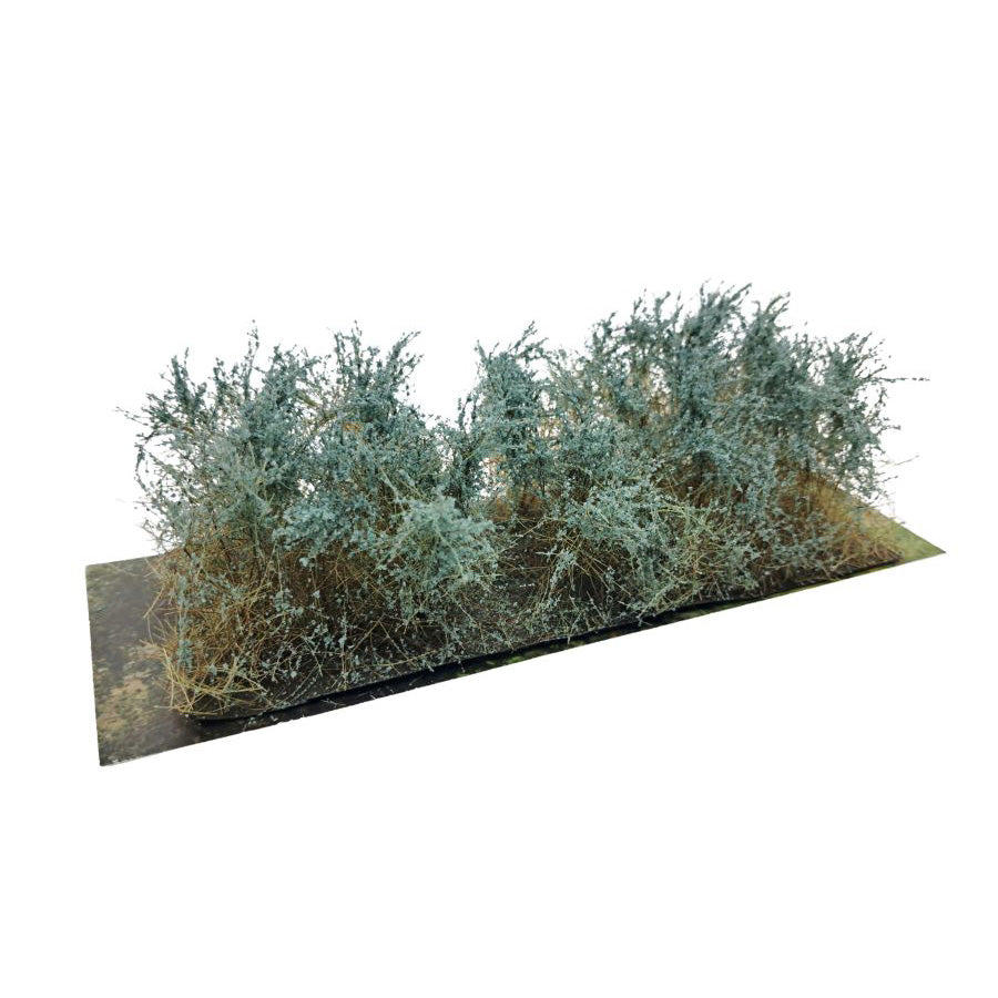 Sträucher Typ C Eukalyptus Grün