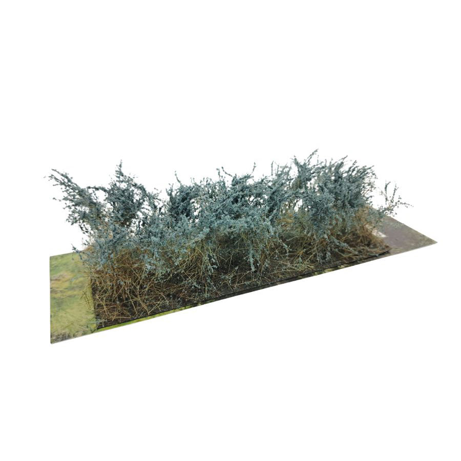 Sträucher Typ C Juniper Grün