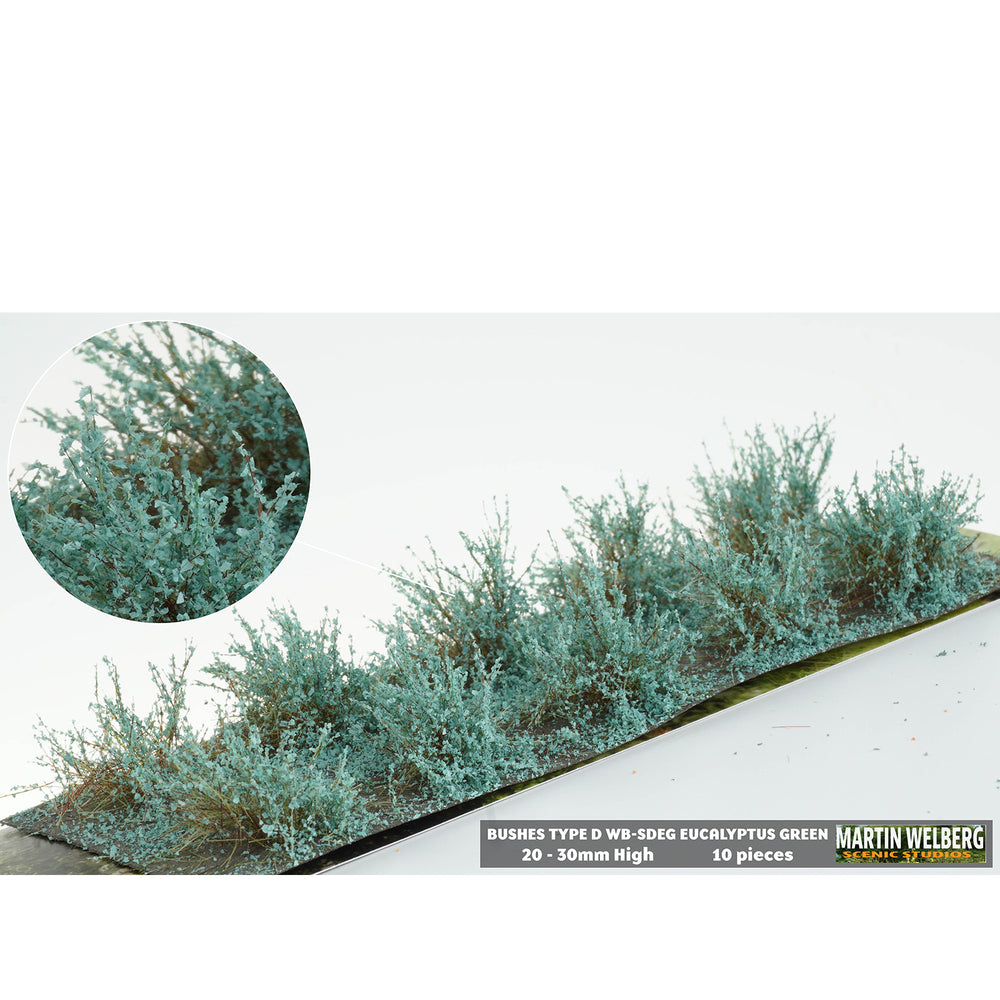 Bushes type D eucalyptus green