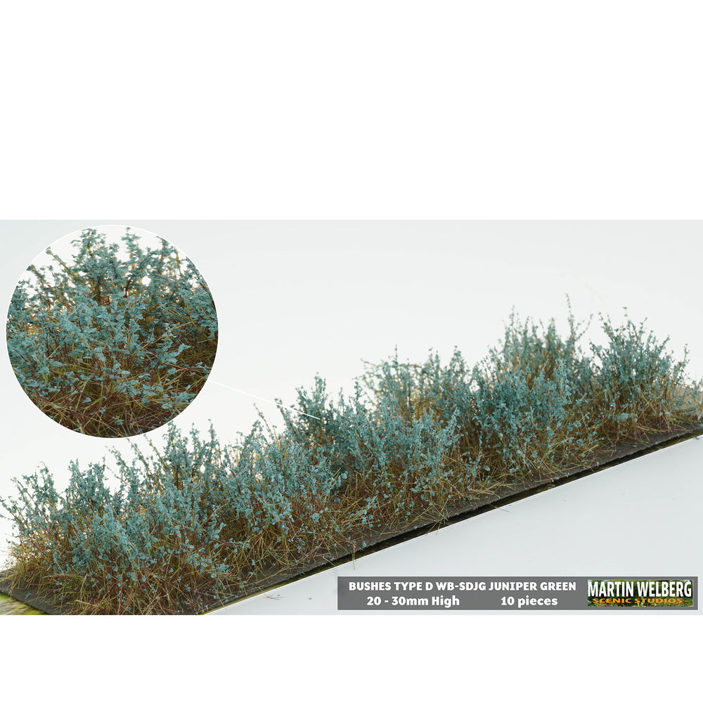 Bushes type D juniper green