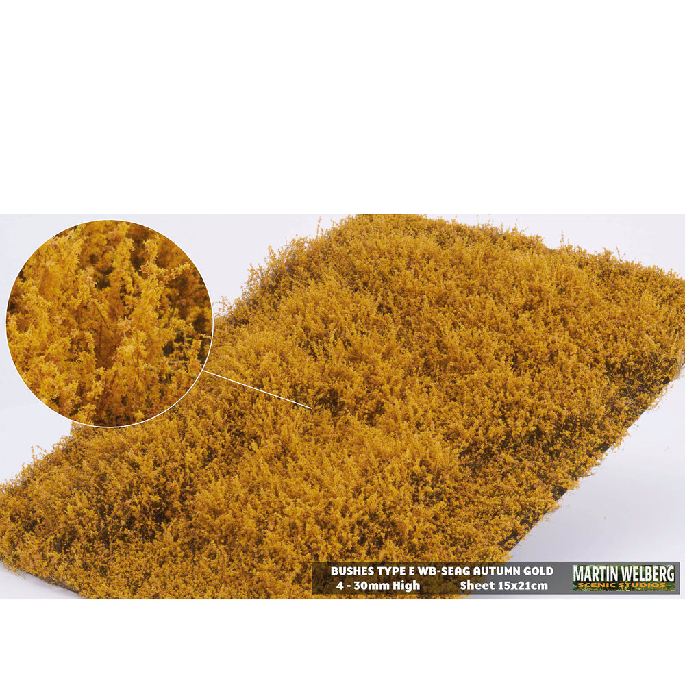 Shrubs type E golden autumn