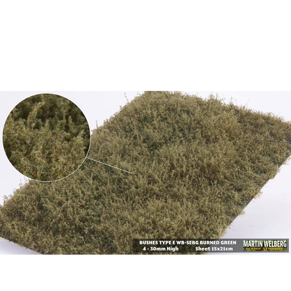 Shrubs type E burned green