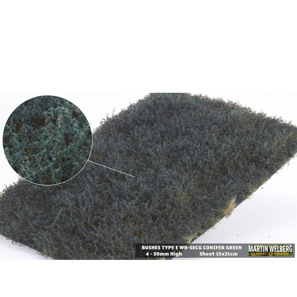 Shrubs type E conifer green