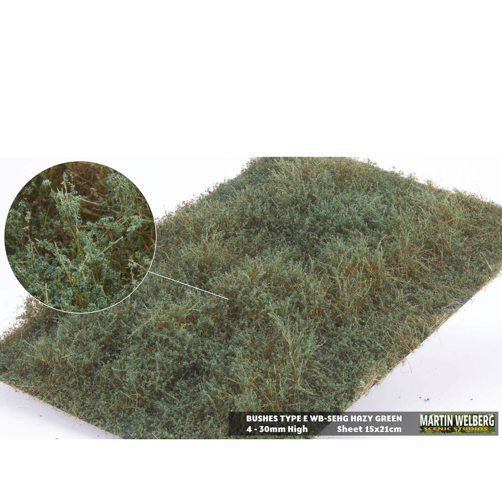 Shrubs type E winter green
