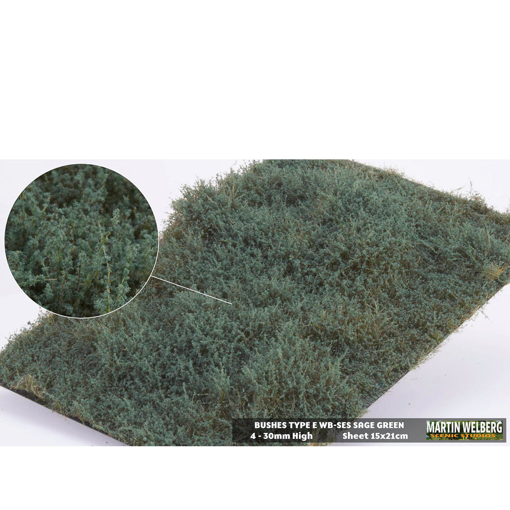 Shrubs type E sage green