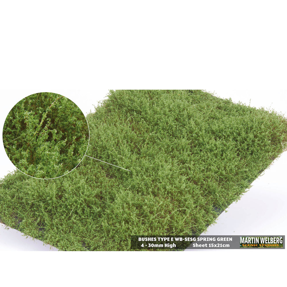 Shrubs type E spring green