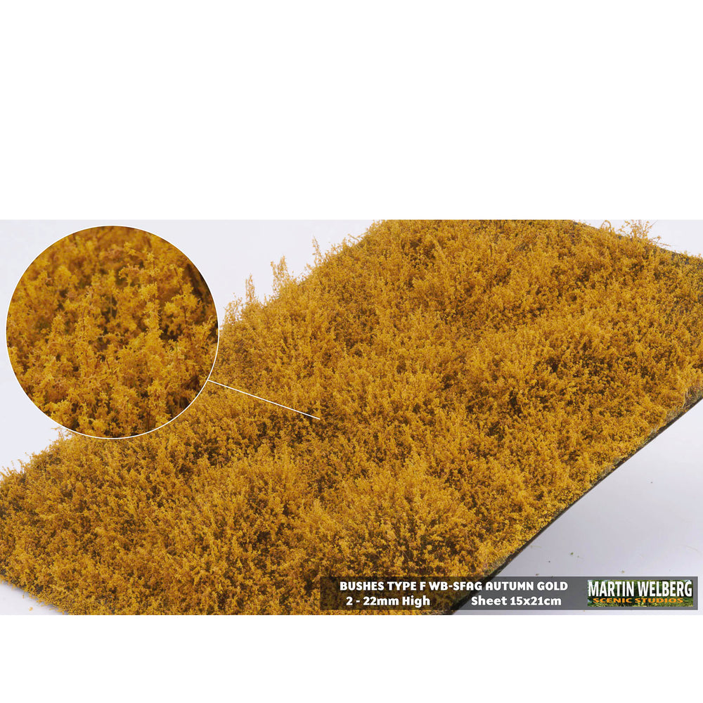 Shrubs type F golden autumn