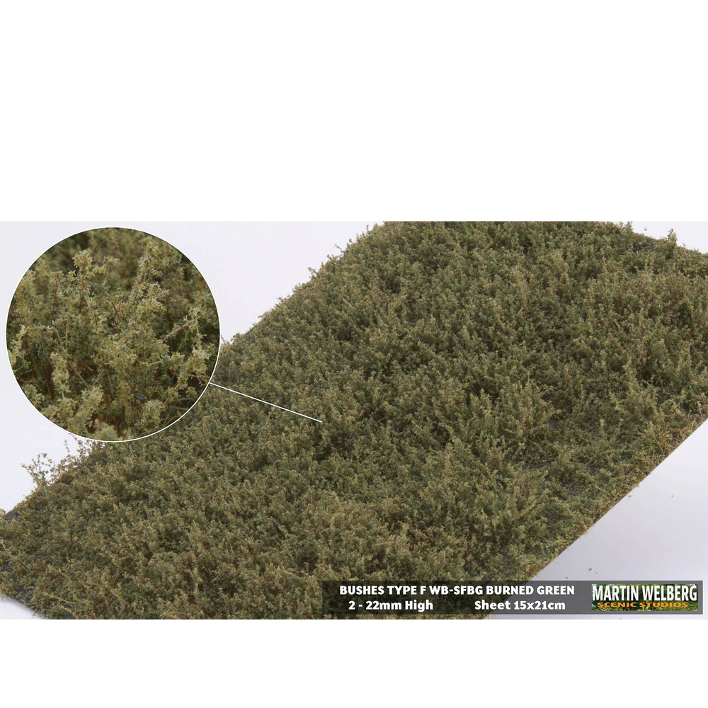 Shrubs type F burned green