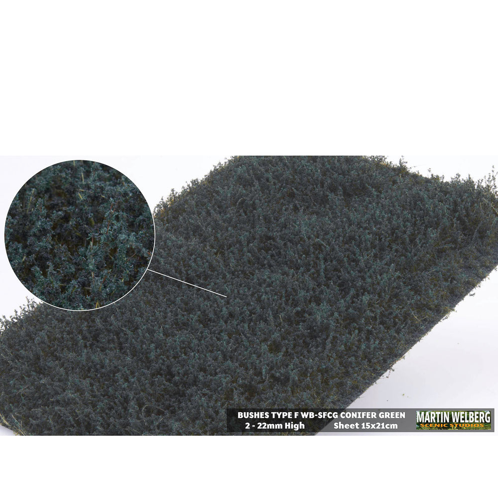 Shrubs type F conifer green