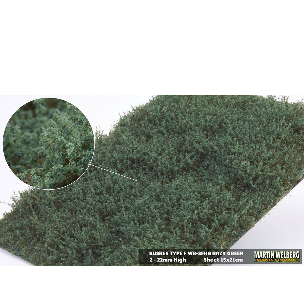 Shrubs type F winter green