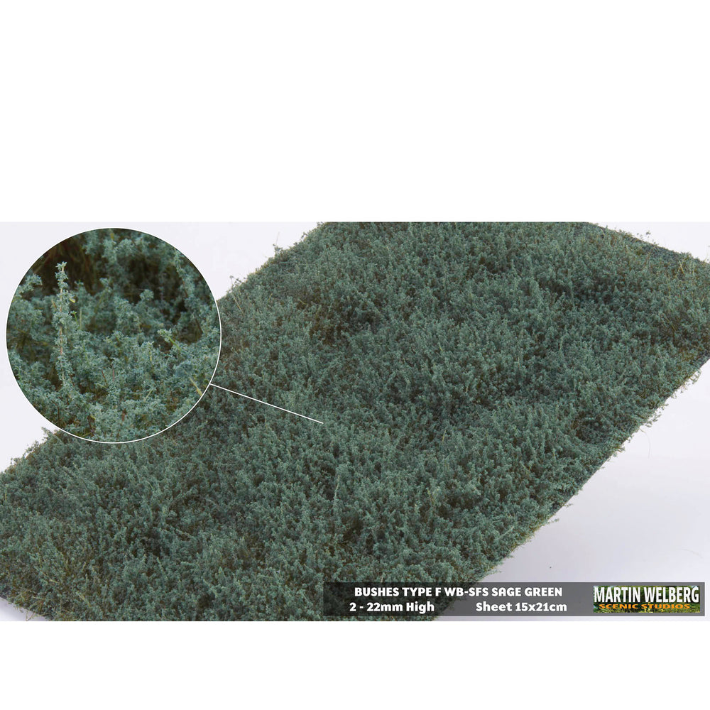 Shrubs type F sage green