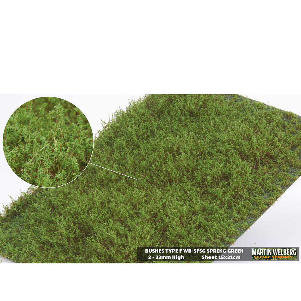 Shrubs type F spring green