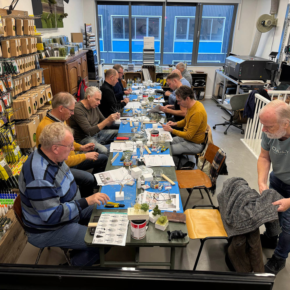
                      
                        Workshop naald- en loofbomen maken
                      
                    